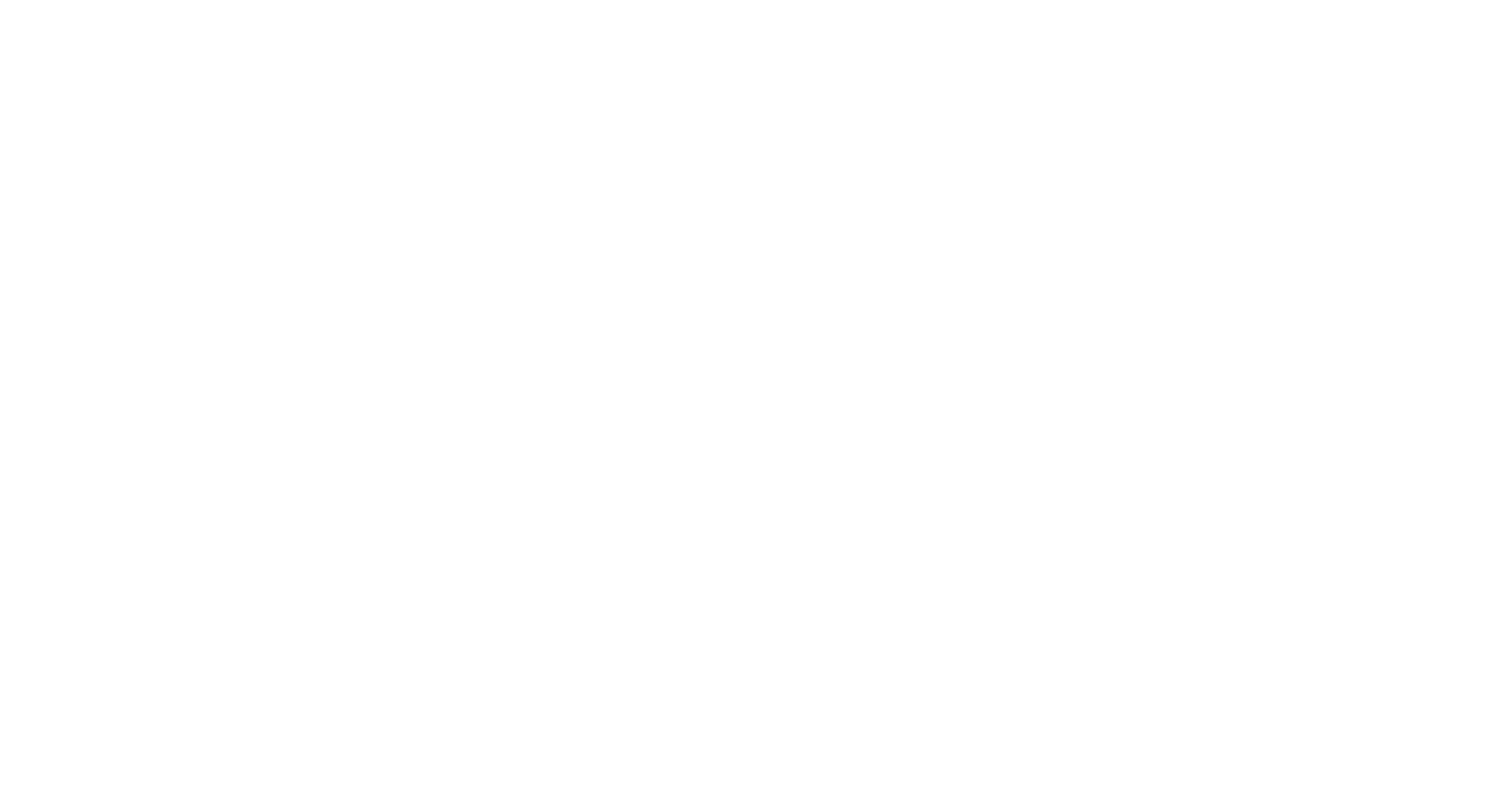 logo-11